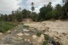 Tunisie_2007 445.jpg